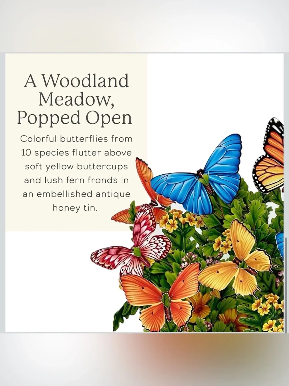 Freshcut Paper Butterflies & Buttercups 12